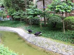-西安曲江寒窑遗址公园