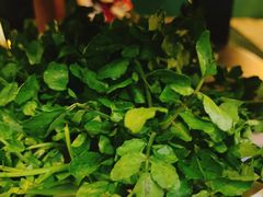-烹然四季椰子鸡火锅(姚家园万象汇店)