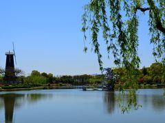 -上海鲜花港