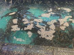 -山河屯铁锅炖鲜鹅·东北菜(开发区一店)