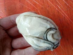 -蚝乡农庄(铁涌赤岸店)