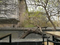-Santoor 萨都里印度餐厅(北锣鼓巷店)