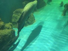 -多彩贵州城极地海洋世界