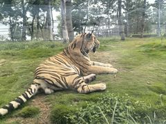 -西霞口神雕山野生动物世界