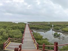 -北海金海湾红树林生态旅游区