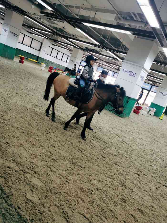 佳伯马术-"我在11月份,团购了168元的马术课,今."-大众点评移动版