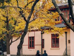 -中山公园