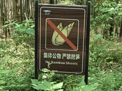 -巢湖姥山岛