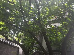 -老张烤羊(王哥庄店)