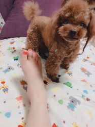 -如一·美甲美睫