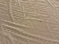 -全季酒店(广州越秀公园店)