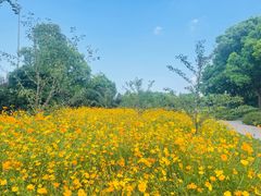 -智慧盲人按摩艾灸-颈肩腰膝疼痛调理(浦东店)