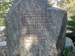 -武汉大学-樱园