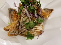 -松花湖水饺(新濠天地店)