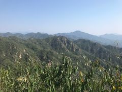 -大岭沟猕猴桃谷风景区