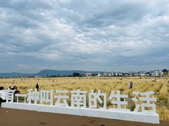 -嘉华鲜花饼(四方街旗舰店)