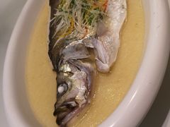 -樱苑(四川北路店)
