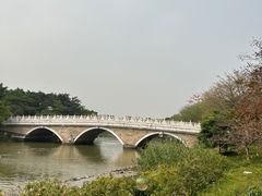 -海珠湖公园