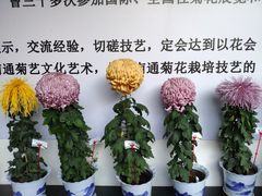 -杭州植物园