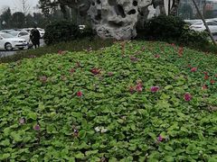 -枫香湖儿童公园