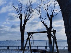 -悦海公园