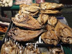 -布尔津河堤夜市