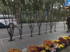 -莫多多餐厅