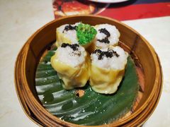 -点都德·毕德寮