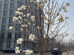 -苏淮景·苏闽融创菜·海鲜(原空港井河轩店)