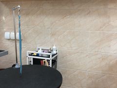 -美联众合动物医院·24h京西诊疗中心