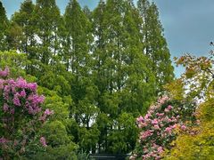 -苏州碑刻博物馆