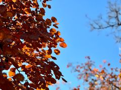 -北京西山国家森林公园