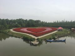 -上海鲜花港