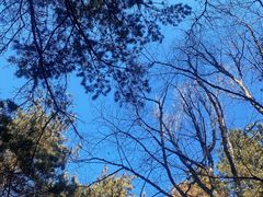 -帽儿山国家森林公园