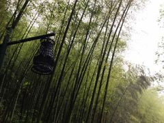 -黄公望隐居地