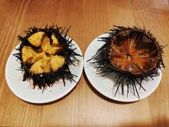 -海胆小馆(东北水饺·春柳店)