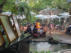 -Fern Forest Cafe
