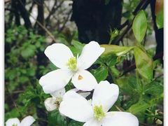-陕西省红河谷森林公园