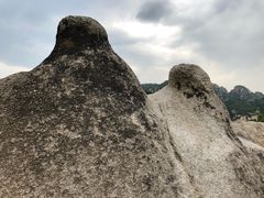 -大岭沟猕猴桃谷风景区