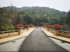 -云溪植物园