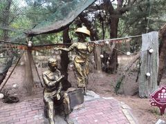 -北海金海湾红树林生态旅游区