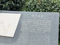 -十里琅珰