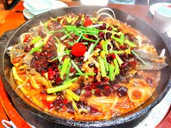 老板恋上鱼-老板恋上鱼(高新万达店)