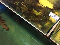 -ZF Seafood Restaurant 卓峰海鲜餐