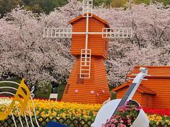 -苏州上方山国家森林公园