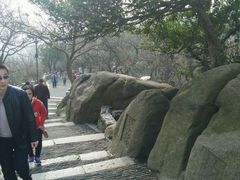 android_upload_pic-灵岩山风景区
