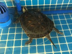 -银珠渔港·海鲜砂锅粥