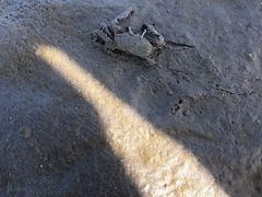 -奉贤海滩