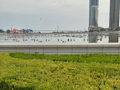 -星海广场