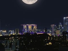 -新加坡乌节希尔顿酒店 (SG Clean)